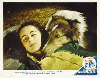 Odvážná Lassie - Plakáty