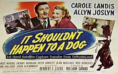 It Shouldn't Happen to a Dog - Posters