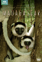 Madagascar - Julisteet