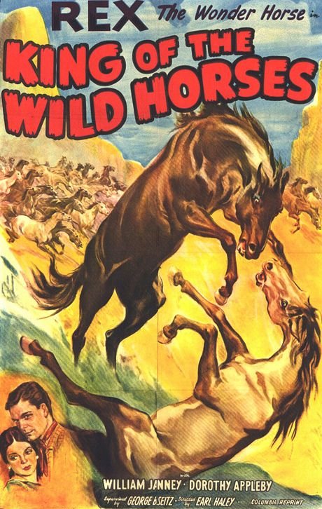 The King of the Wild Horses - Affiches