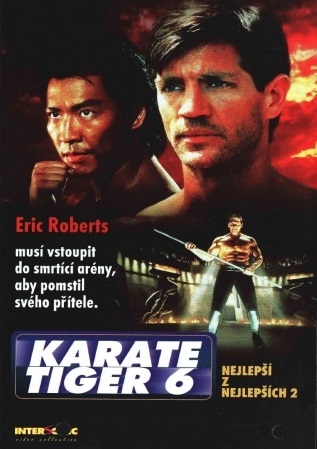 Karate tiger 6: Nejlepší z nejlepších 2 - Plakáty