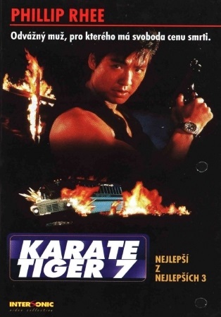 Karate tiger 7: Nejlepší z nejlepších 3 - Není cesty zpět - Plakáty