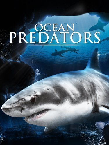Ocean Predators - Posters