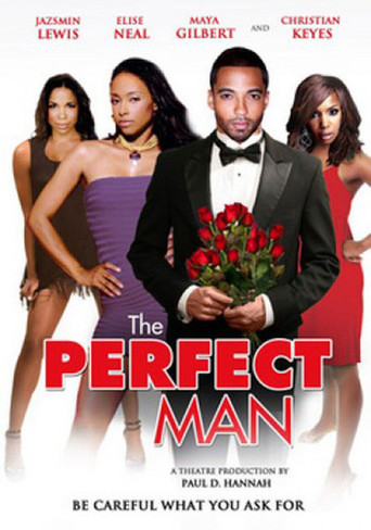 The Perfect Man - Plakate