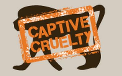 Captive Cruelty - Plakaty