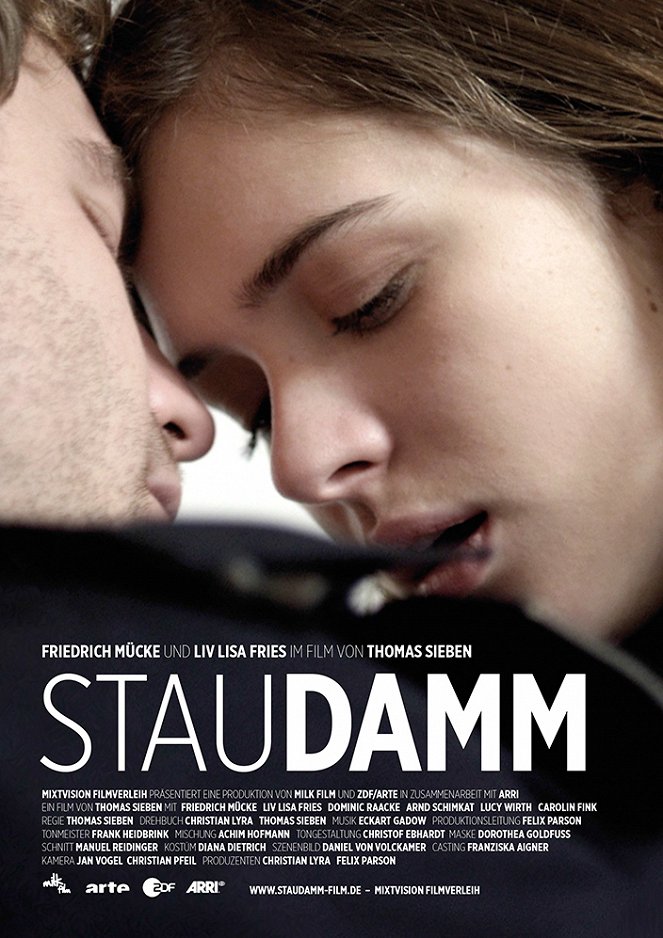 Staudamm - Posters