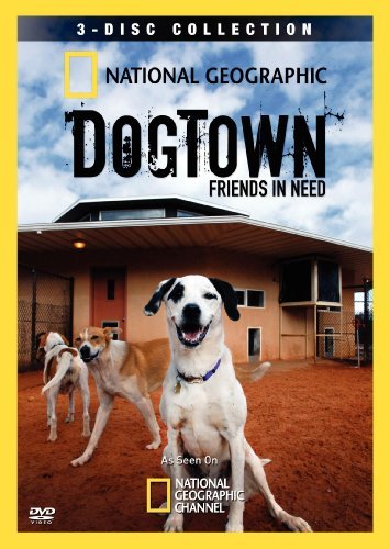 DogTown - Affiches