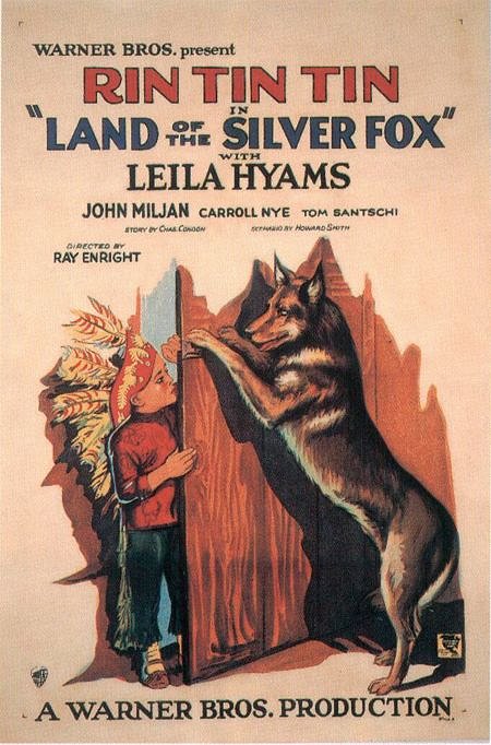 Land of the Silver Fox - Plakaty