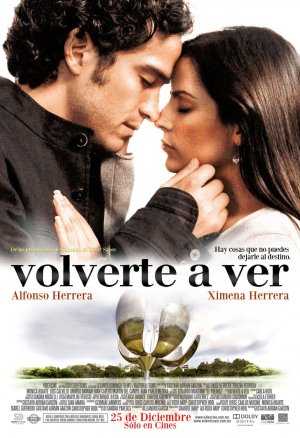 Volverte a ver - Posters