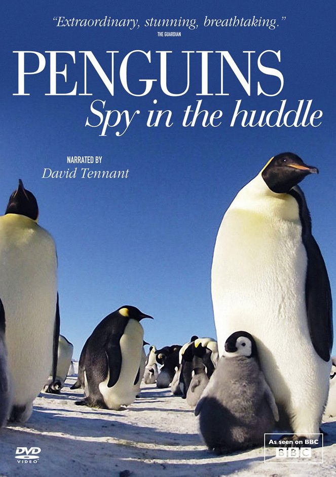 Tučniaky - špióni v dave - Plagáty