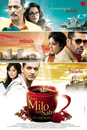 Tum Milo Toh Sahi - Posters