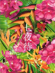 Nanayomachi - Plakaty