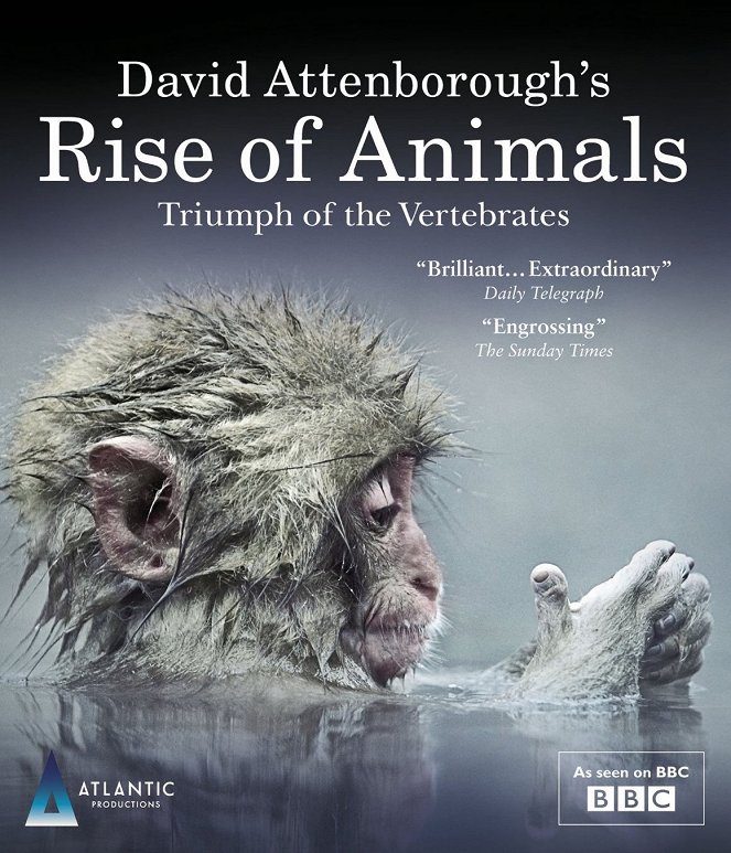 Az állatvilág története David Attenborough-val - Plakátok