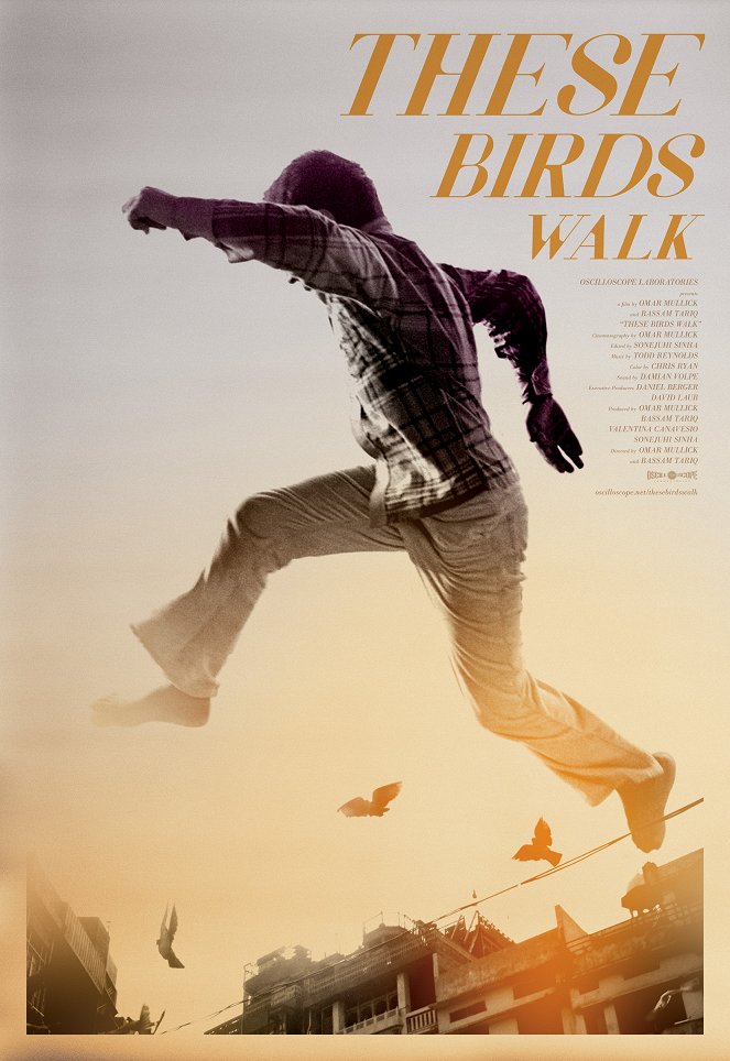 These Birds Walk - Posters