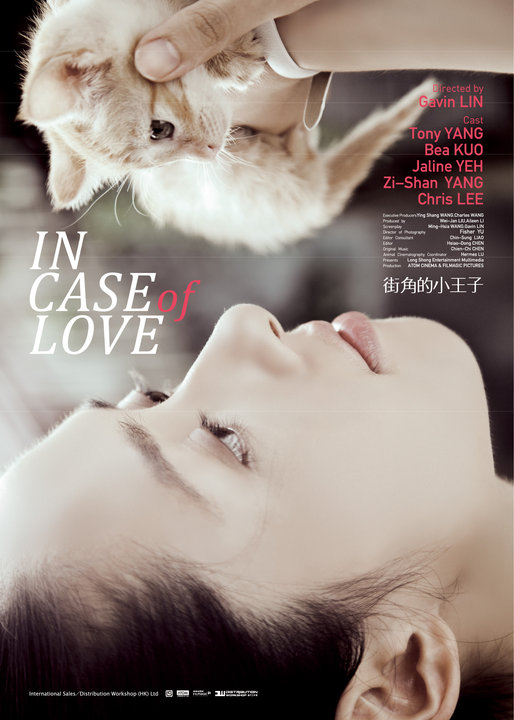In Case of Love - Posters