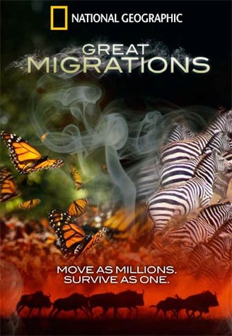 Great Migrations - Julisteet