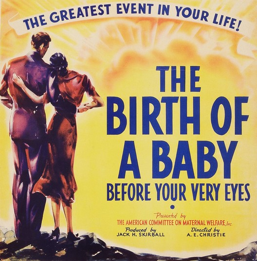 The Birth of a Baby - Carteles