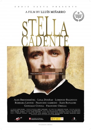 Stella cadente - Posters