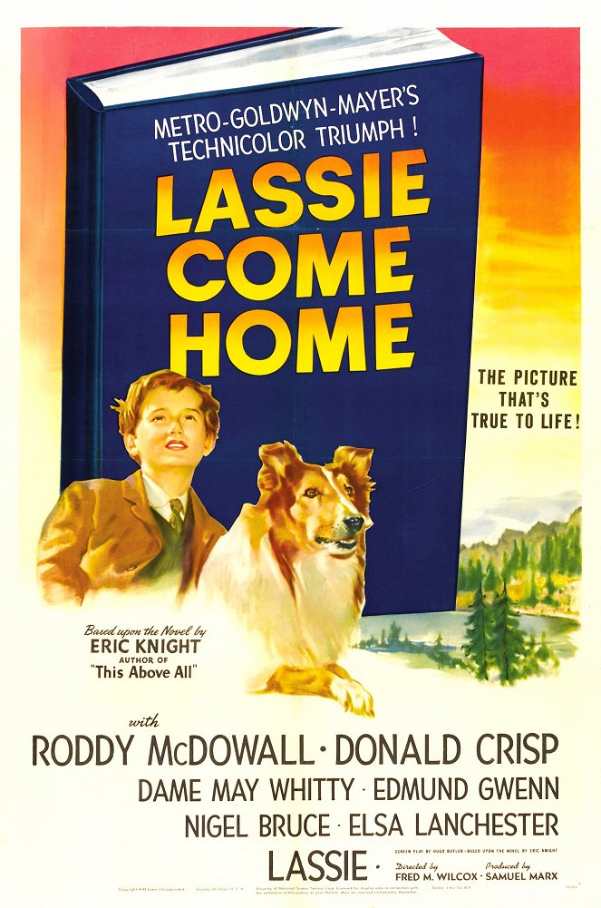 Lassie Come Home - Plakaty