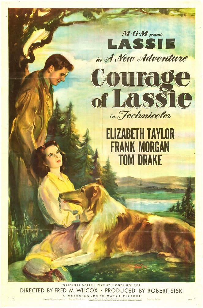 Courage of Lassie - Affiches