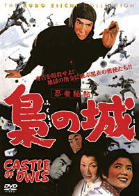 Castle of Owls - Posters