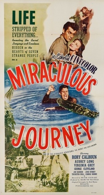 Miraculous Journey - Affiches