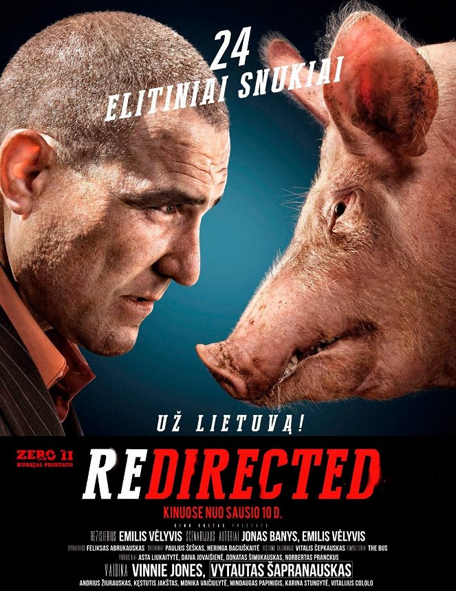 Redirected - Affiches