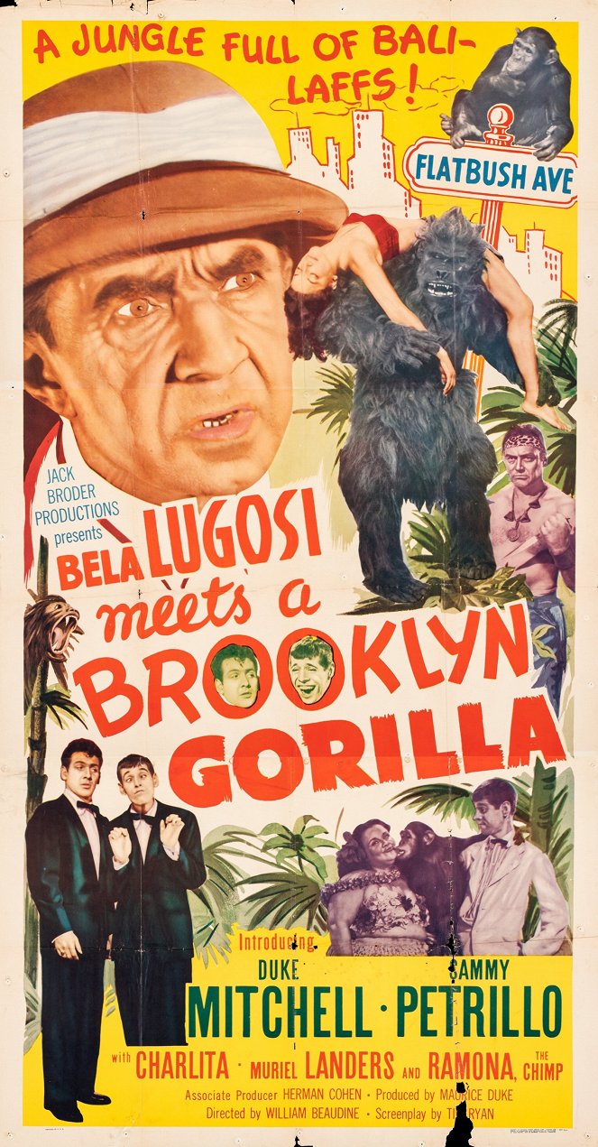 Le Gorille de Brooklyn - Affiches