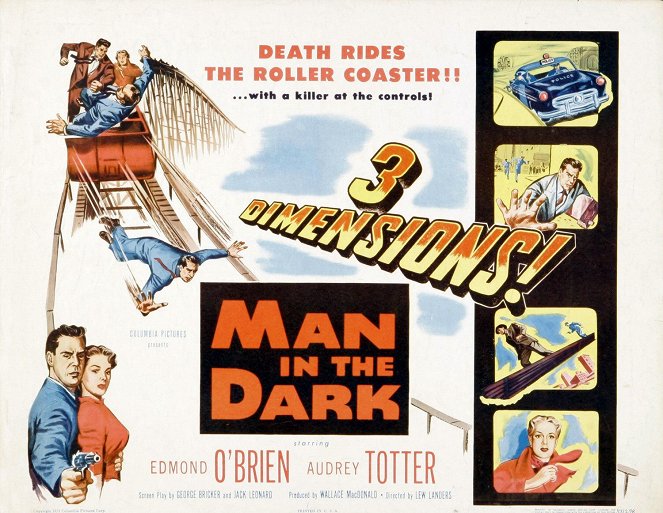 Man in the Dark - Posters