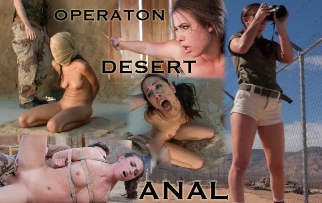 Operation Desert Anal - Posters