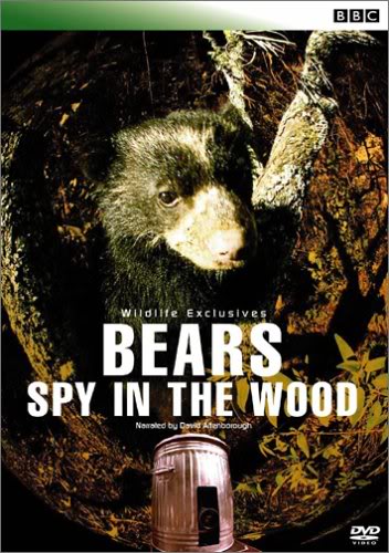 Bears: Spy in the Woods - Carteles