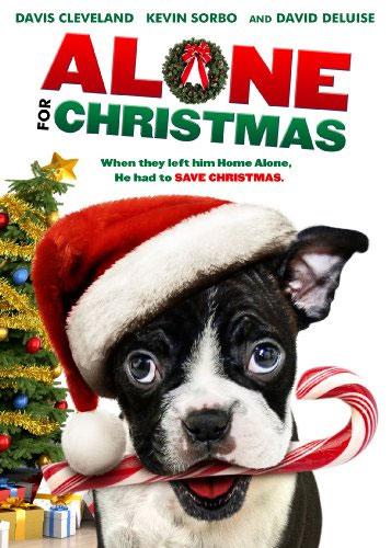 Alone for Christmas - Posters