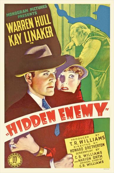Hidden Enemy - Plakaty