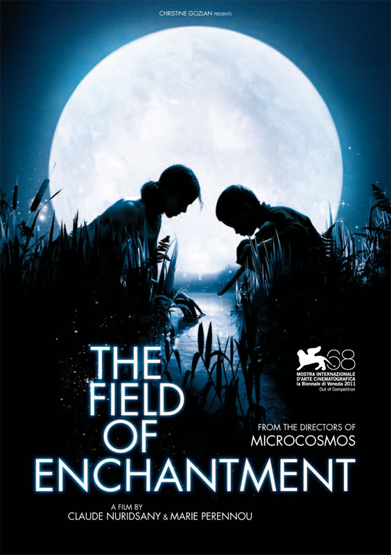 The Field of Enchantment - Posters