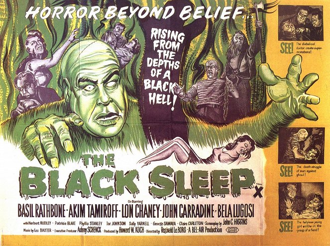 The Black Sleep - Affiches