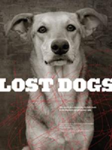 Lost Dogs - Carteles