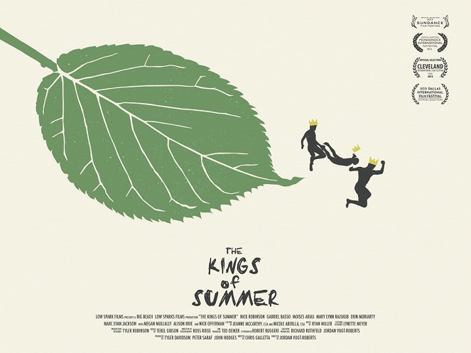 The Kings of Summer - Carteles