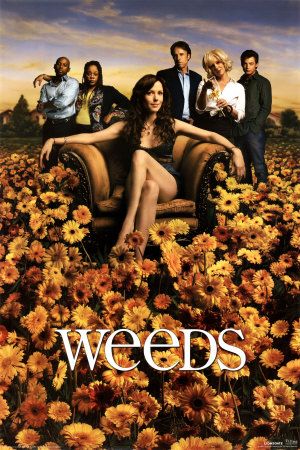 Weeds - Weeds - Season 2 - Cartazes
