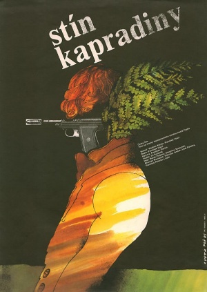 Stín kapradiny - Plakate