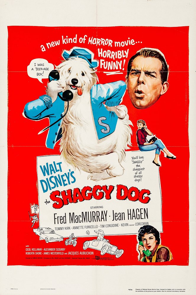 The Shaggy Dog - Plakaty