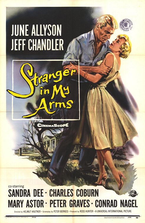 A Stranger in My Arms - Posters