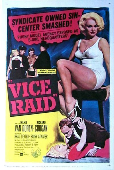 Vice Raid - Posters
