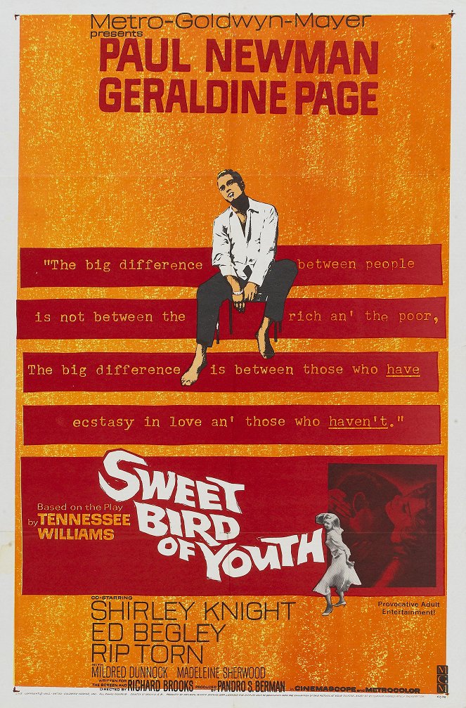 Sweet Bird of Youth - Posters