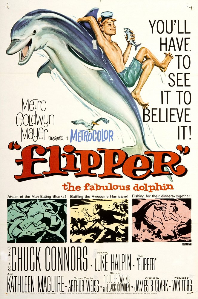 Flipper - Cartazes