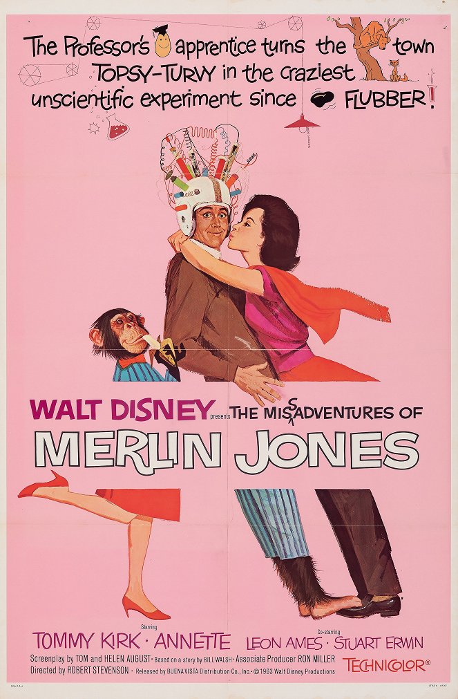 The Misadventures of Merlin Jones - Affiches