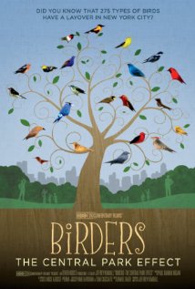 Birders: The Central Park Effect - Posters