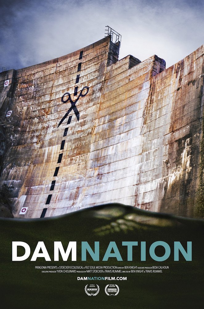 DamNation - Carteles
