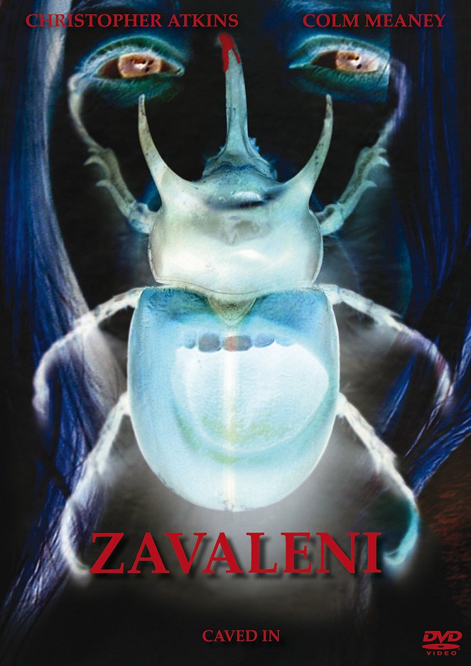 Zavaleni - Plakáty