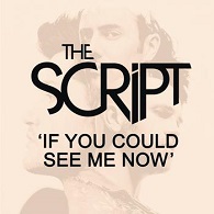 The Script: If You Could See Me Now - Julisteet
