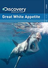 Great White Appetite - Plakaty